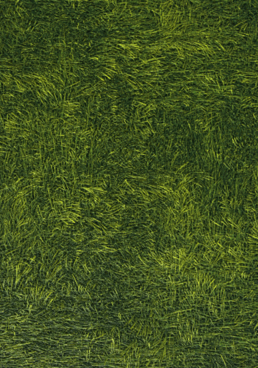 Grass tileable texture