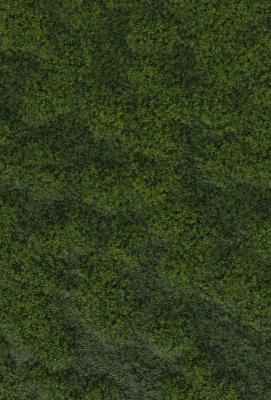 Moss tileable texture
