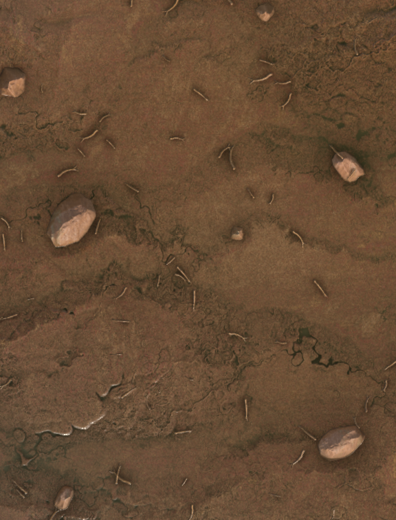 Shoreline tileable texture